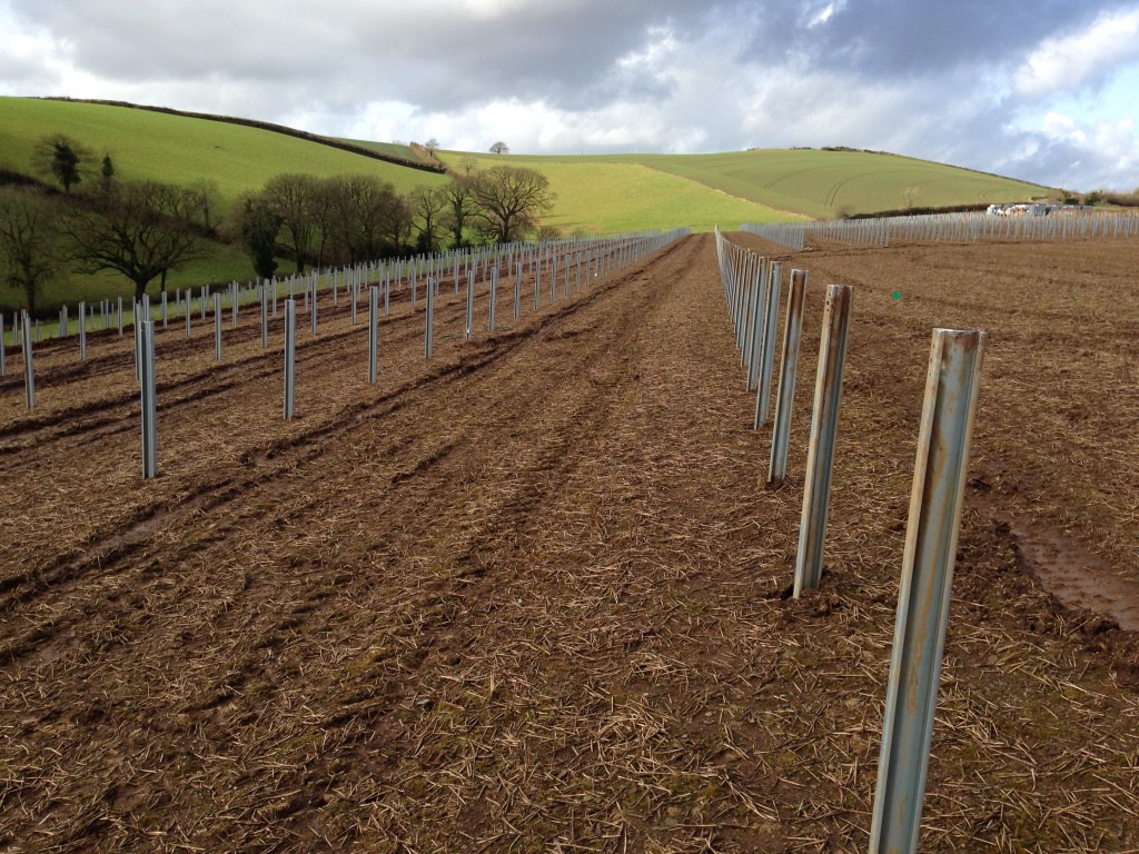 straight pile driving on PV project